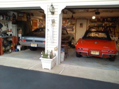 sharing space with the yenko